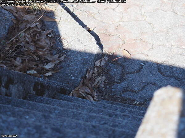 南立石公園町(別府市) 階段で河川敷へ