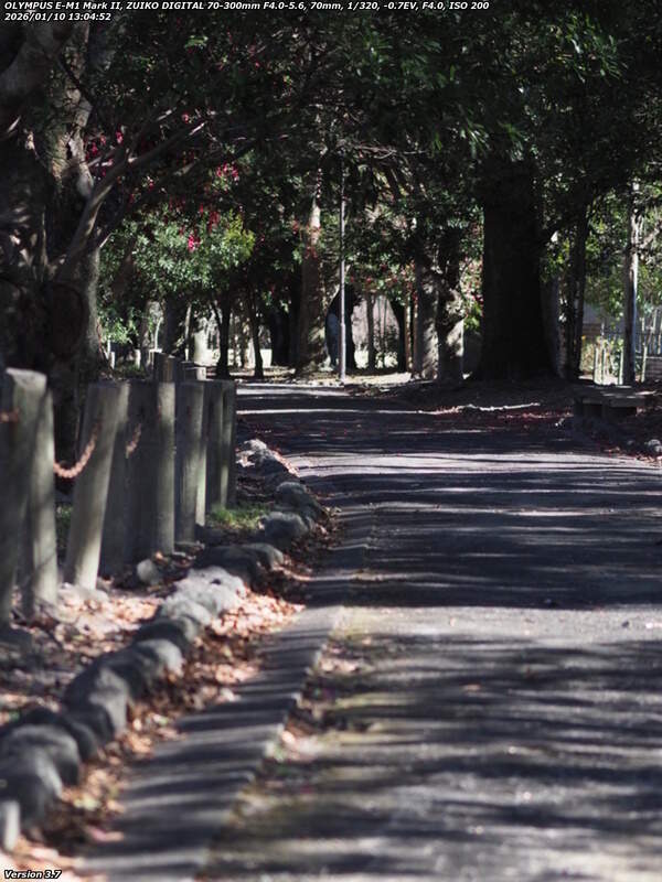 南立石公園町(別府市) 土手上の遊歩道を南立石公園へ