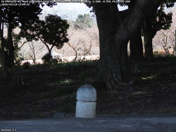 南立石公園町(別府市) 南立石公園の入口はすぐそこ