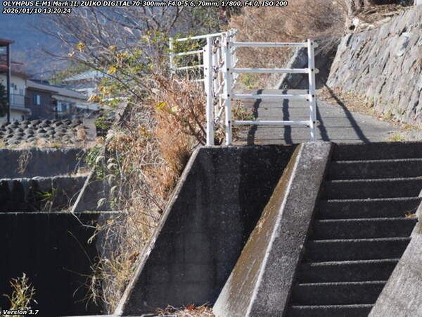 境川(別府市) 上流へ引き返す