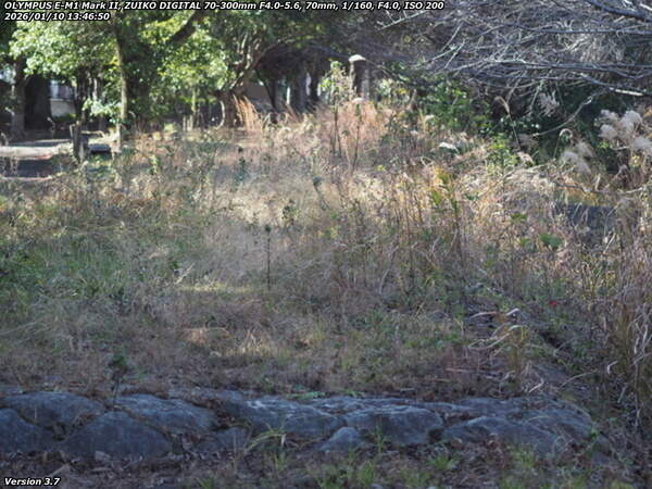 南立石公園(別府市) 南立石公園を抜けて土手上の遊歩道へ