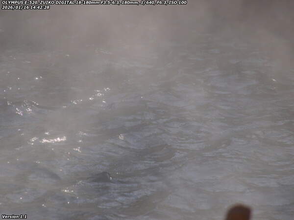 南立石板地町(別府市) 霊泉寺の鶴見地獄