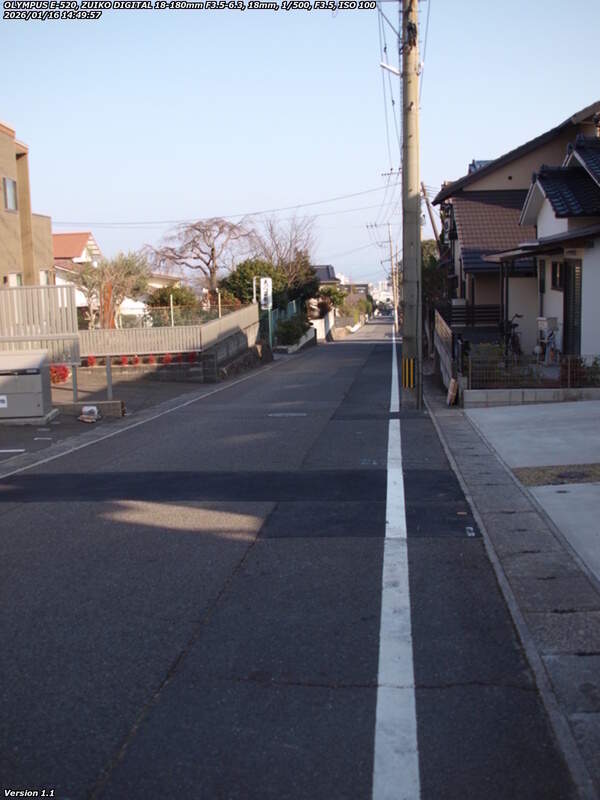 鶴見園町(別府市) 鶴見園町の住宅地を下る