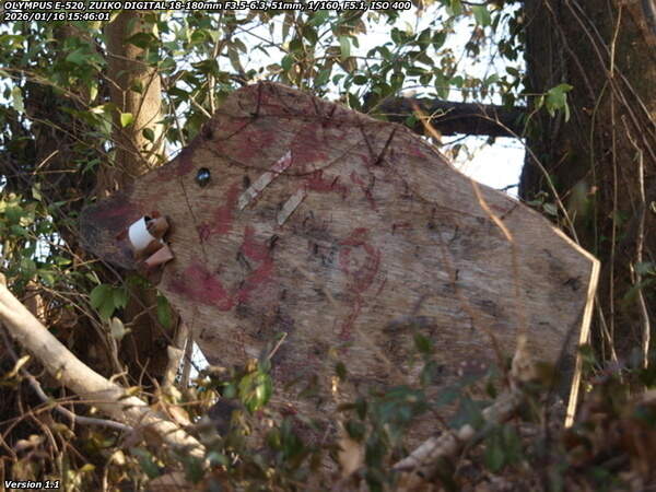 南立石生目町(別府市) 乙事主様こんにちは