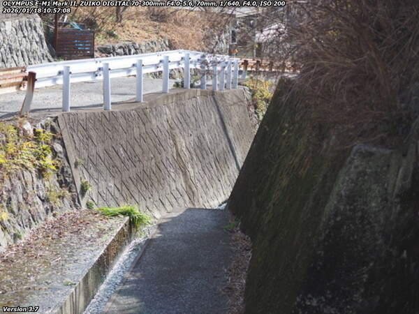 南立石板地町(別府市) 板地川沿いに下流へ歩く