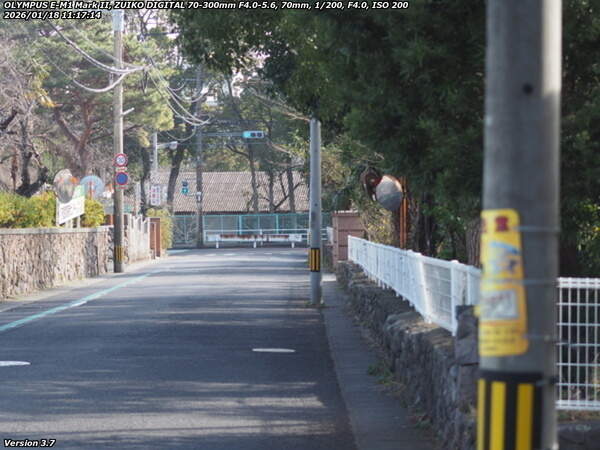 南荘園町(別府市) 栄光園の横を下る