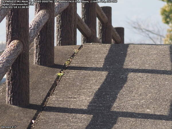 板地川(別府市) 道路へ上がる