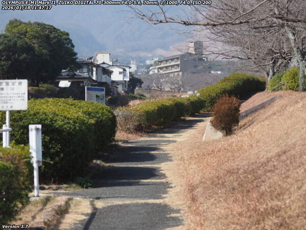 境川(別府市) 境川の土手上の遊歩道を上流へ