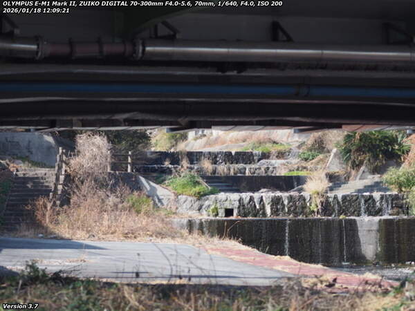 境川(別府市) 大学橋をくぐって上流へ