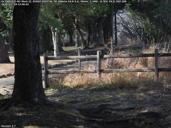 南立石公園(別府市) 境川沿いに上流へ