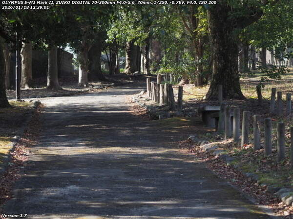 南立石公園町(別府市) 土手上の遊歩道を進む