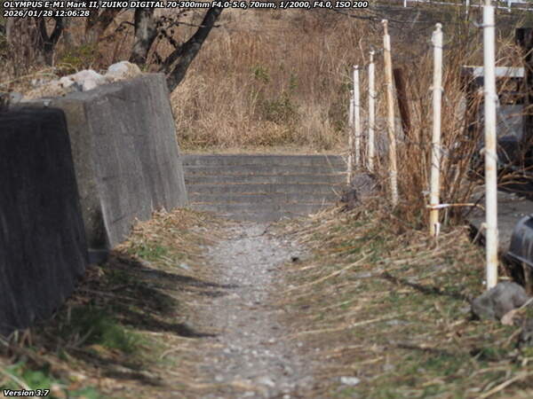 南立石生目町(別府市) 細い未舗装路で河川敷へ