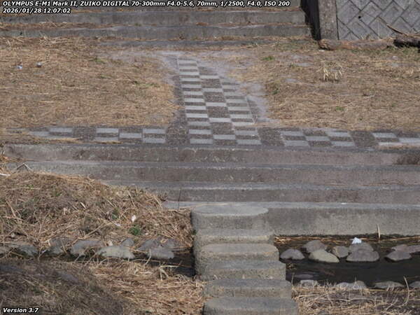 南立石生目町(別府市) 除草が進んでいる