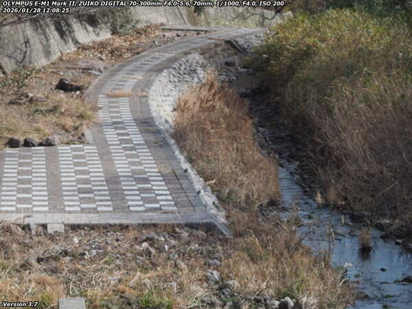境川(別府市) 左岸の河川敷の様子