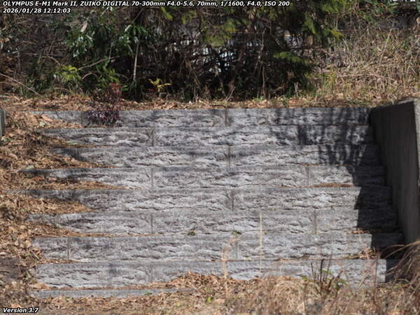 境川(別府市) 階段で土手上の草地へ