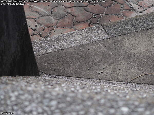 扇山町(別府市) 西別府橋のすぐ下流から階段で河川敷へ