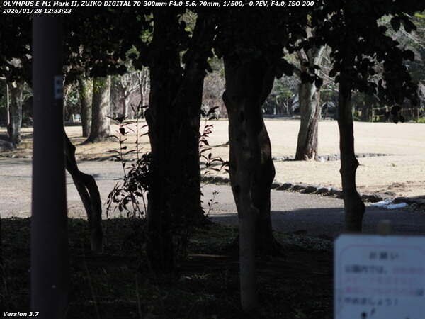 南立石公園町(別府市) 南立石公園の入口はすぐそこ