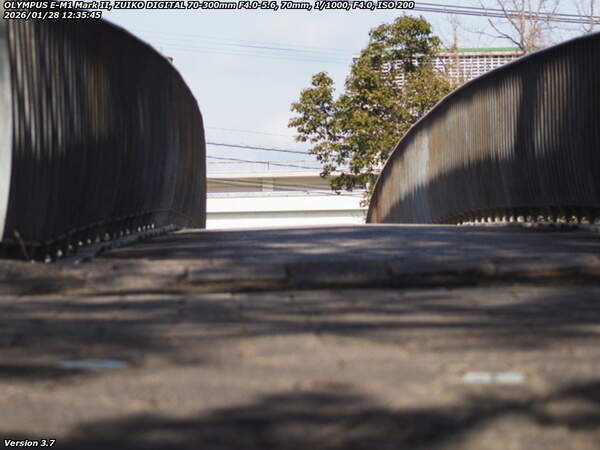 南立石公園(別府市) イナコスの橋を渡る