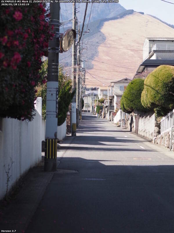 荘園(別府市) 道路でコスモス荘園店へ向かう