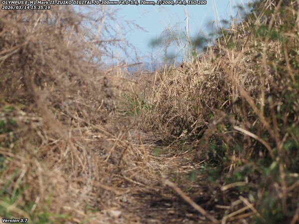 境川(別府市) なんとか通れそうだ