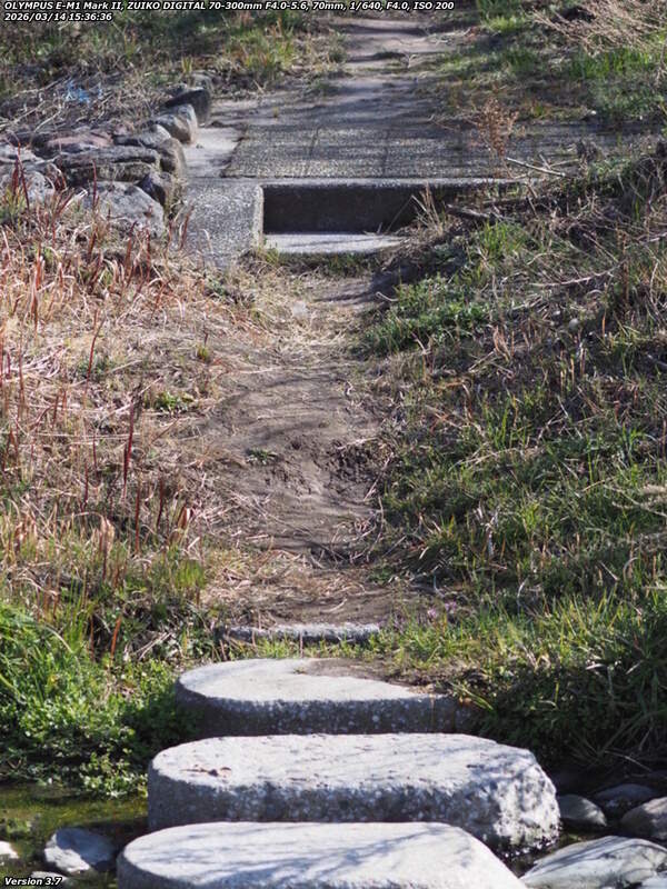 境川(別府市) 飛び石で右岸へ渡って土手上の遊歩道へ