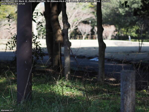 南立石公園町(別府市) 南立石公園へ