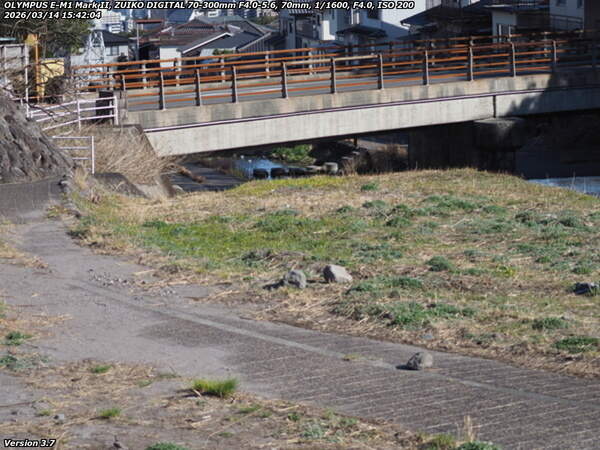 境川(別府市) スロープで河川敷へ下る