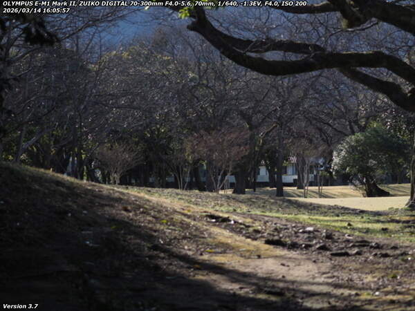 南立石公園(別府市) 南立石公園を歩く