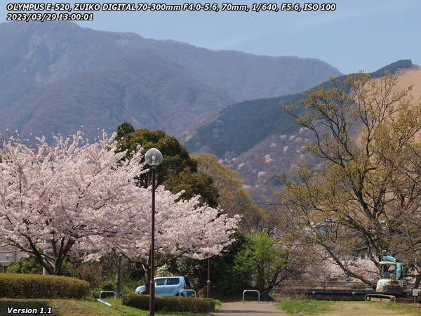 南立石二区(別府市) 桜と扇山