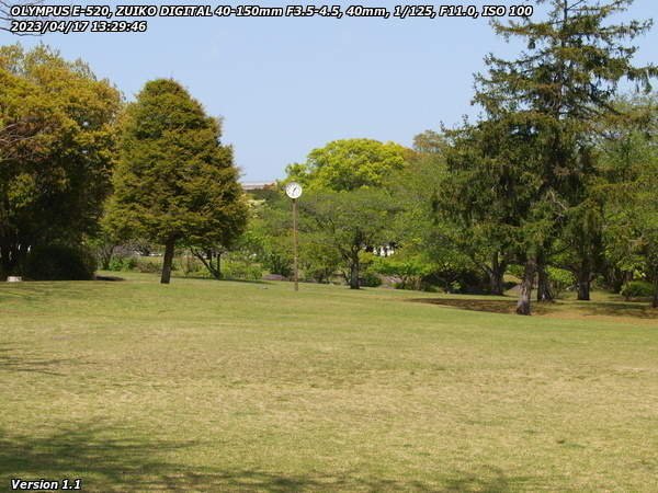 南立石公園(別府市) すっかり緑色になった