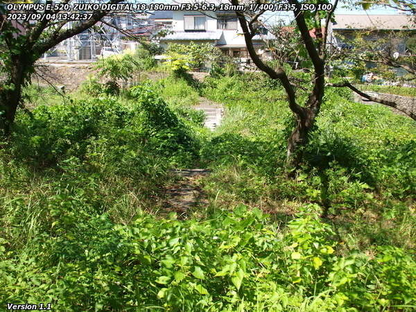 南立石二区(別府市) 境川の河川敷広場への道は草が生い茂っている