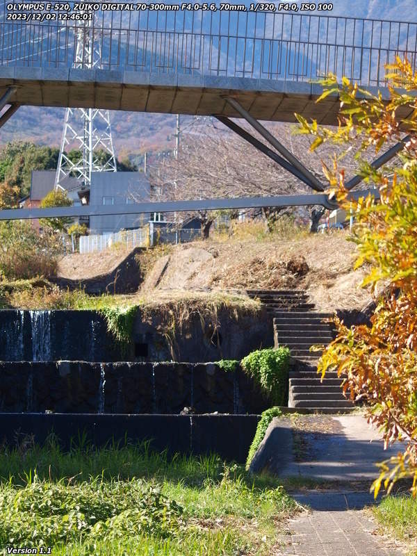 境川(別府市) イナコスの橋をくぐって上流へ
