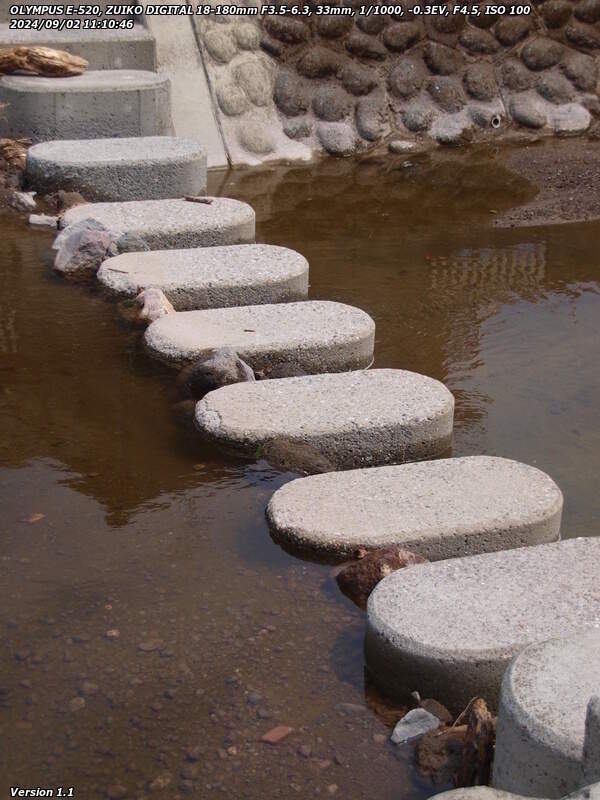 境川(別府市) 飛び石の間に石や土砂が詰まっていて水位が上がっている