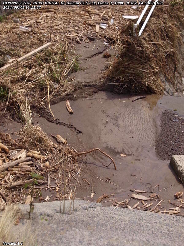 境川(別府市) 土が流されてコンクリートが見えている