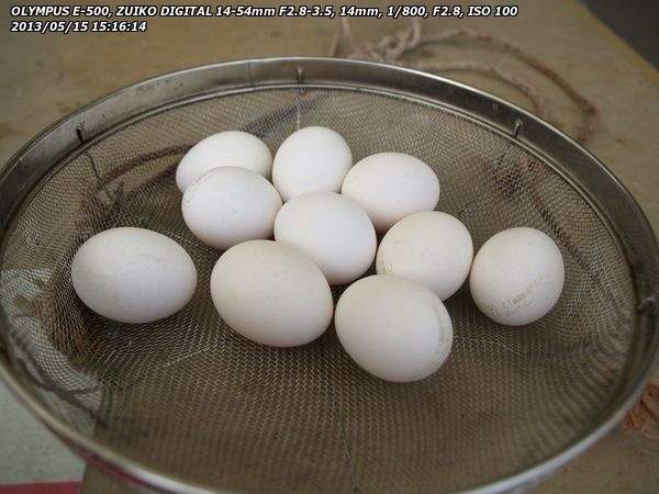 みかゑり温泉(別府市) ザルに卵を入れる