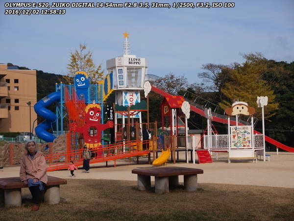 鉄輪地獄地帯公園(別府市) リニューアルされた遊具
