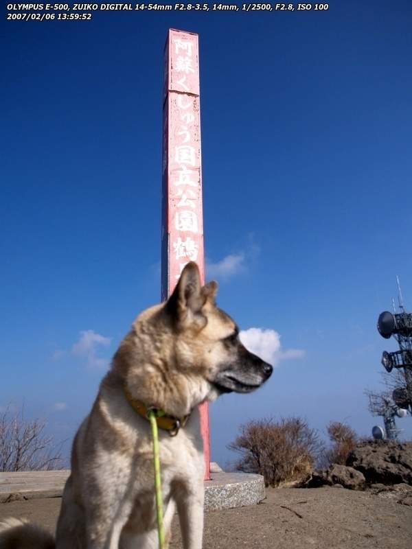 鶴見岳山頂(別府市) 1375mまで登ったハナ