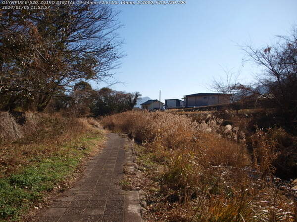 境川(別府市) 2024年01月