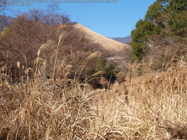 境川(別府市) 2024年01月