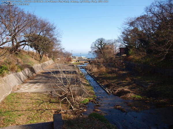 境川(別府市) 2024年01月