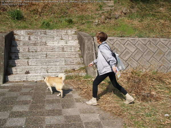 境川(別府市) 2009年02月