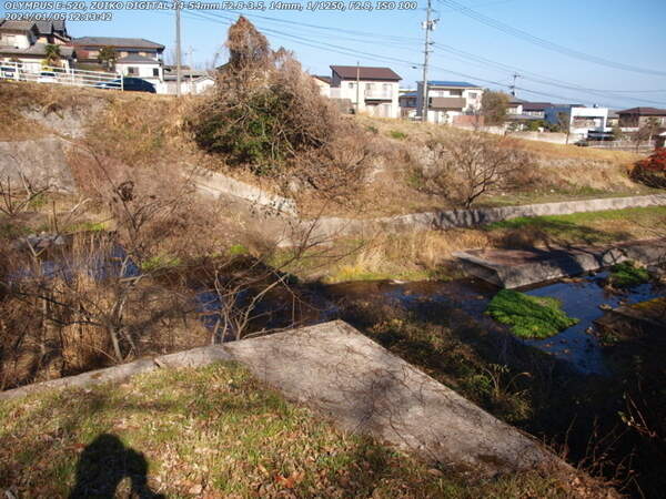 境川(別府市) 2024年01月
