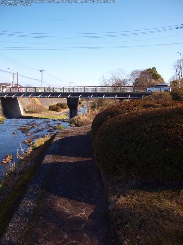 境川(別府市) 2024年01月