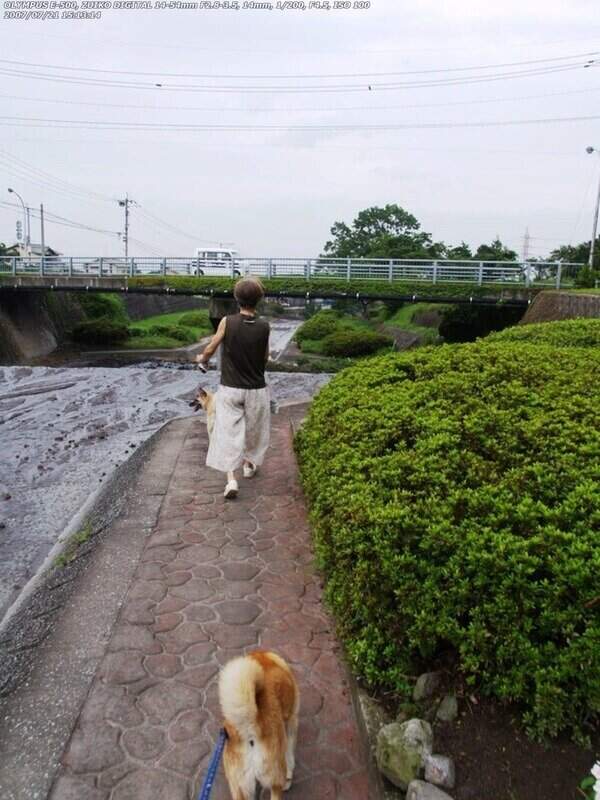 境川(別府市) 2007年07月