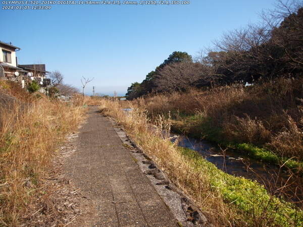 境川(別府市) 2024年01月