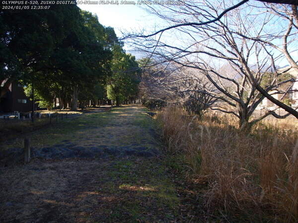 南立石公園(別府市) 2024年01月