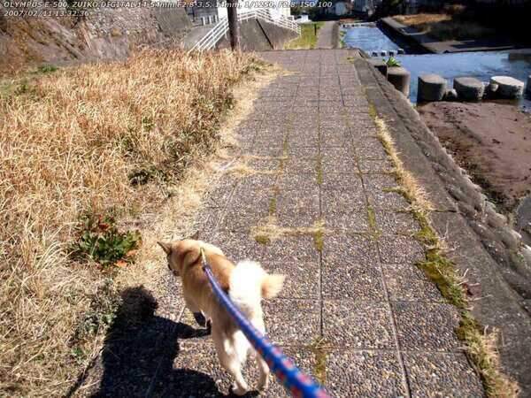 境川(別府市) 2007年02月